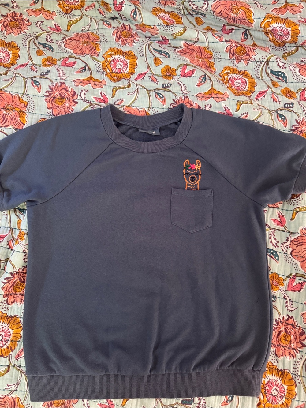 Llama Modcloth top
